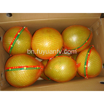 তাজা মিষ্টি pomelo বিক্রয়